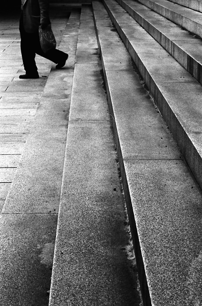Steps In Meiji Jingu (Tokyo)