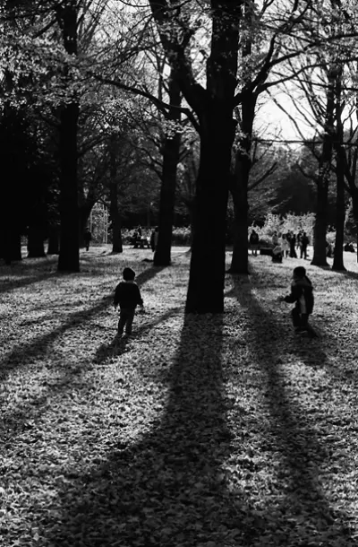 木々の周りを走り回る子ども