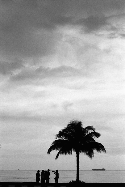 People Around The Palm Tree (Malaysia)