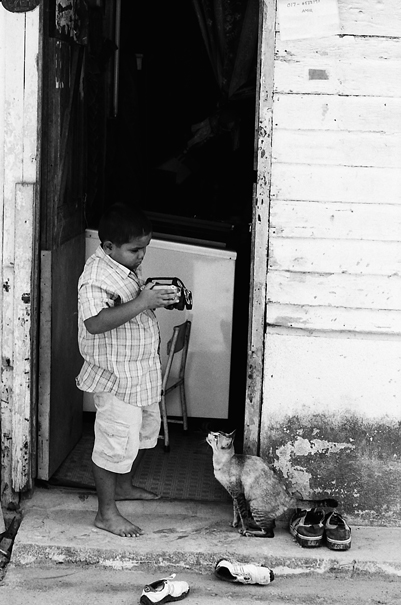 Begging Cat (Malaysia)