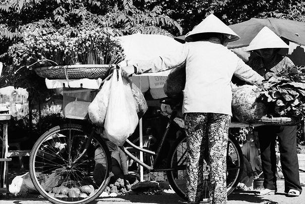 Overloaded Bicycle (Vietnam)