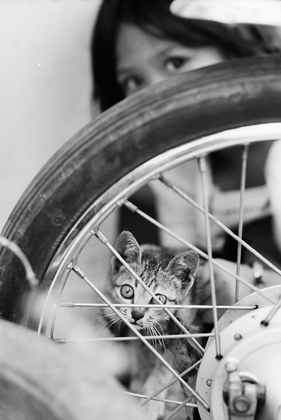 Cat, Wheel And Girl (Vietnam)
