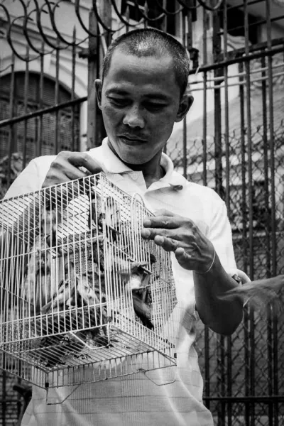 仏教寺院の前で放生するための鳥籠を持っていた男