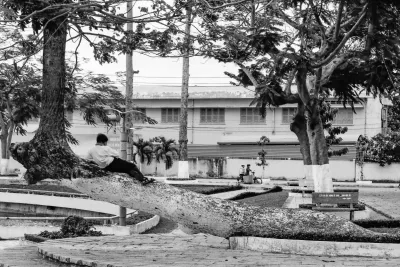 Boy relaxing on tree