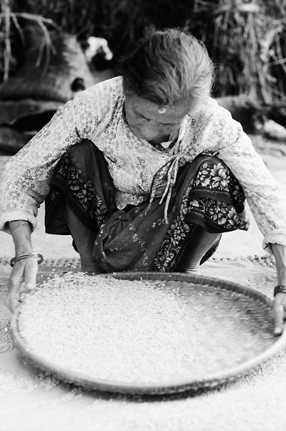 Older Woman And Rice (Nepal)