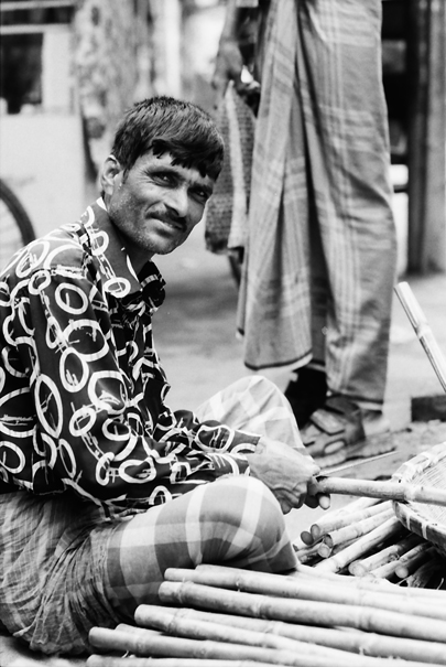 Man sitting beside many bamboos