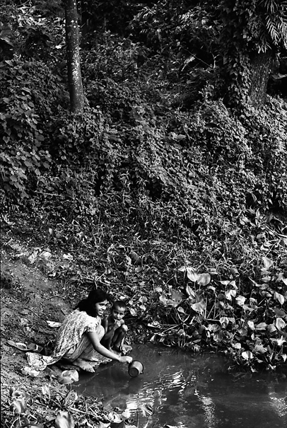 Bathing In The Pond (Bangladesh)