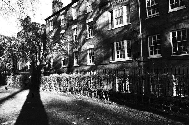Shadow Of A Tree Stretching Toward The Apartment (UK)