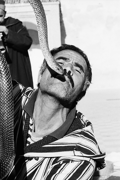 Man And Snake (Morocco)