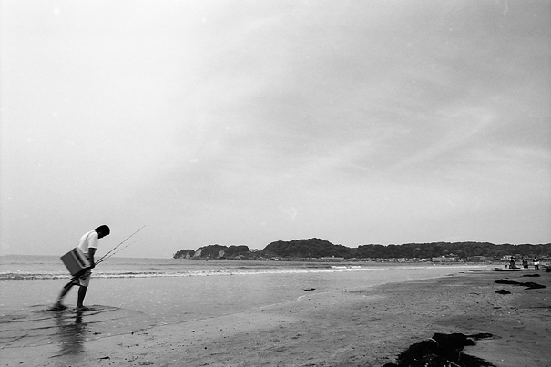 Drooping Fisher (Kanagawa)