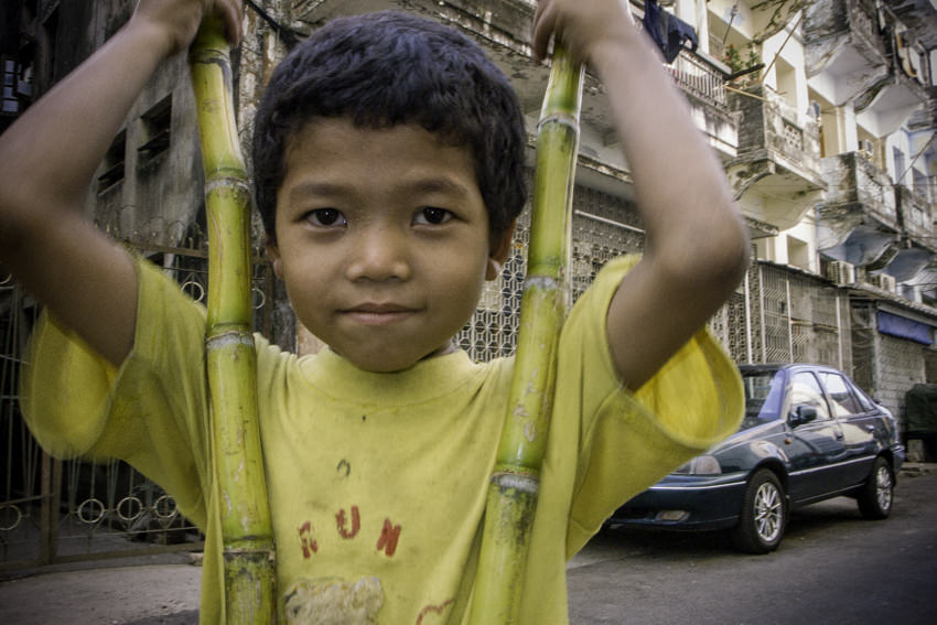 Boy holding sugar canes