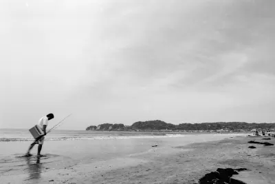 Drooping fishier walking on the edge of water