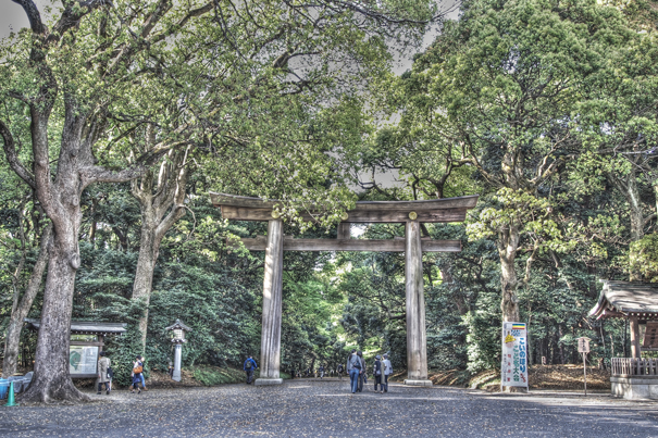 Big Wooden Torii (Tokyo)