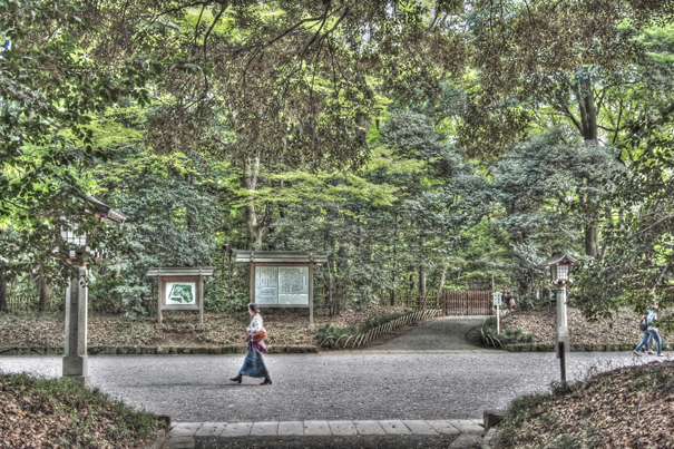 Woman Walking The Approach Of Meiji Jingu (Tokyo)