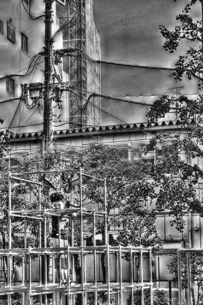 Jungle Gym In A Small Park (Tokyo)