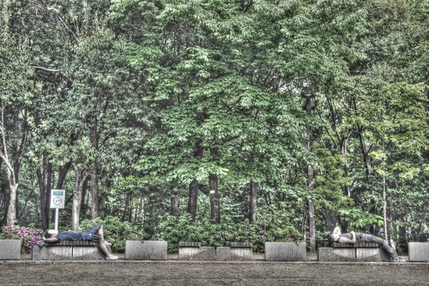 Nap In The Park (Tokyo)