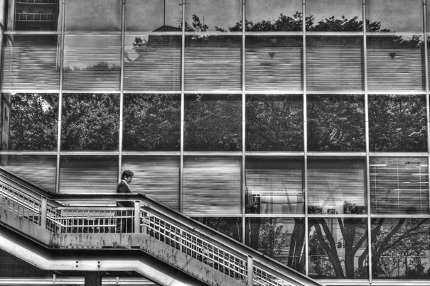 Figure Descending The Footbridge (Tokyo)