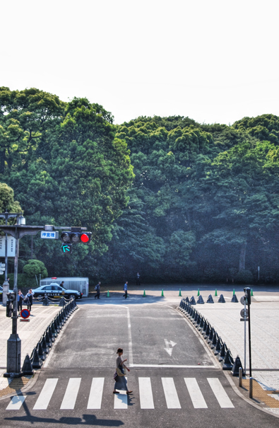 Woman Walking The Crosswalk (Tokyo)