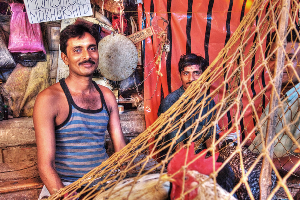 Butcher And Net (India)