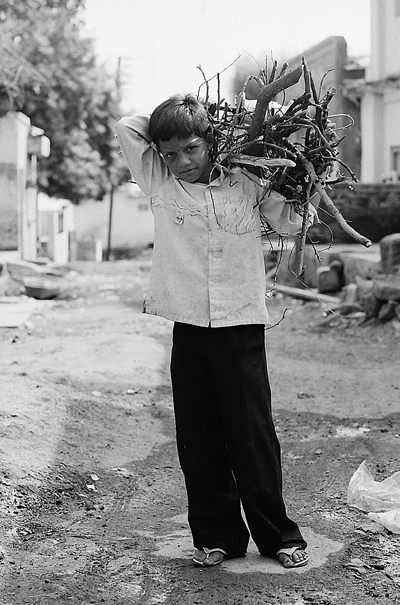 Armload Of Firewood (India)