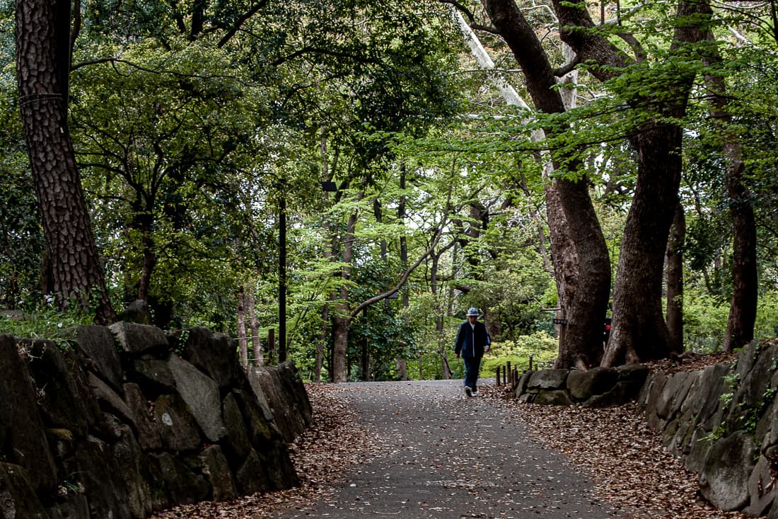Old man taking a walk in Rinshi No Mori Park