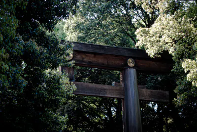 Torii in woods in Meiji Jingu
