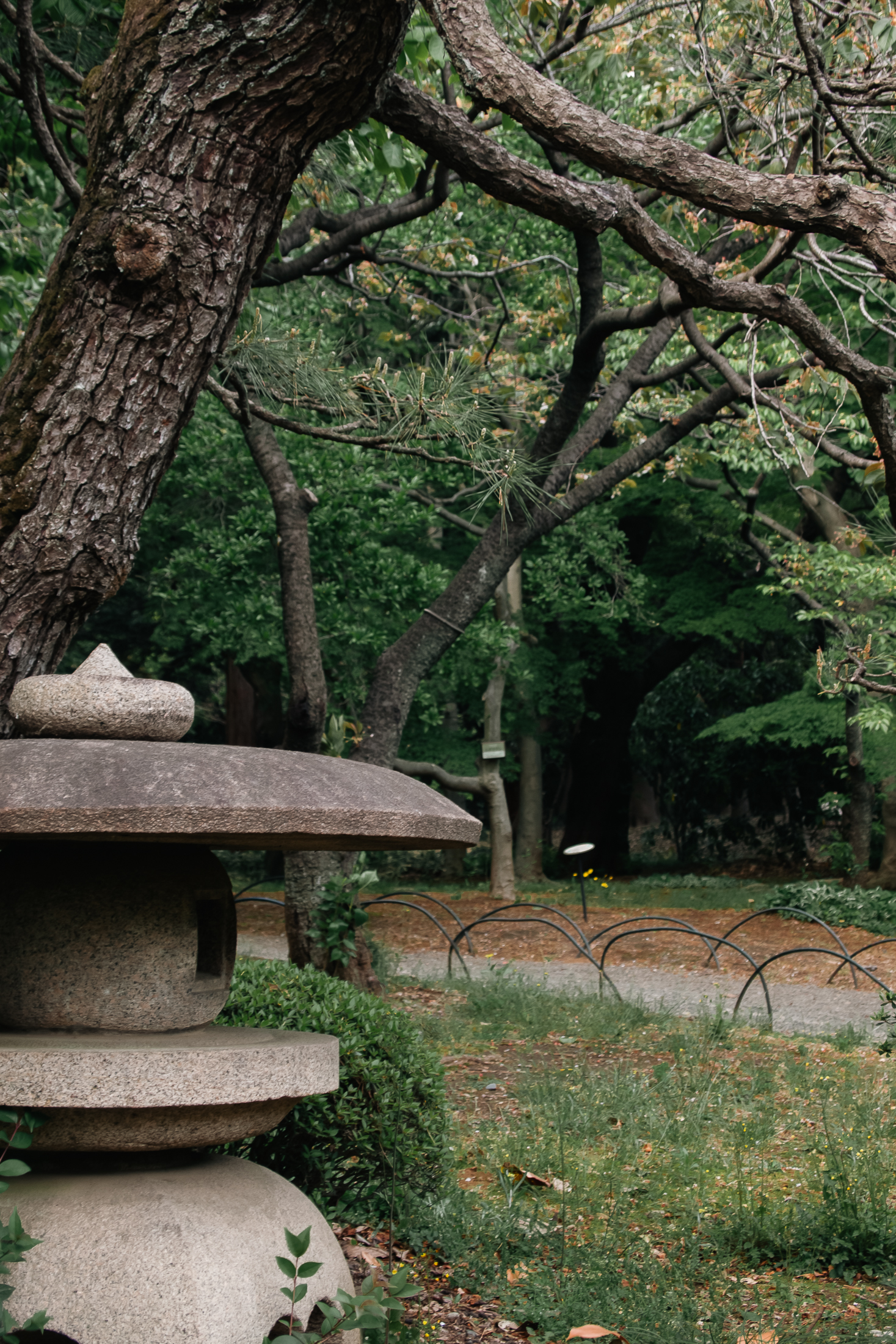 庭石　灯籠　日本庭園　値下げ‼️ 庭石 灯籠 日本庭園 値下げ‼️ 庭石 灯籠 日本庭園 値下げ‼️ Amazon