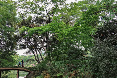 六義園にある橋の上を歩く親子