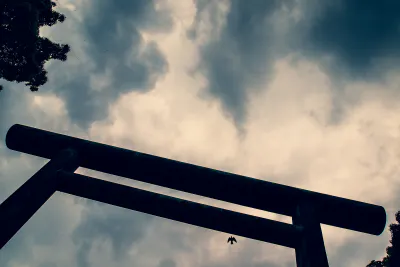 Torii and bird