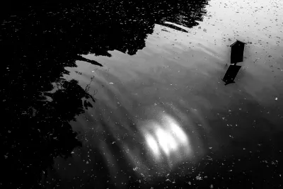 池の中の立て札