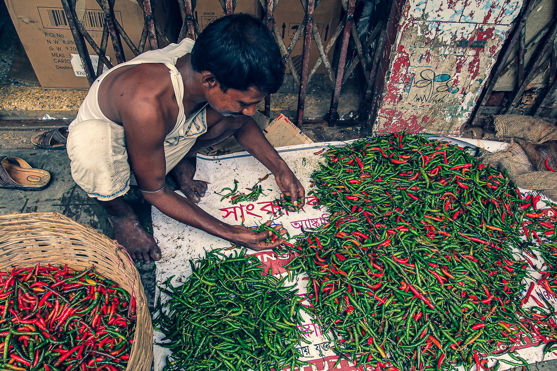 インド 緑の唐辛子と赤い唐辛子 写真とエッセイ By オザワテツ