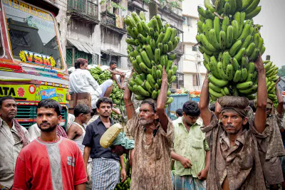 バナナの房を運ぶ男たち