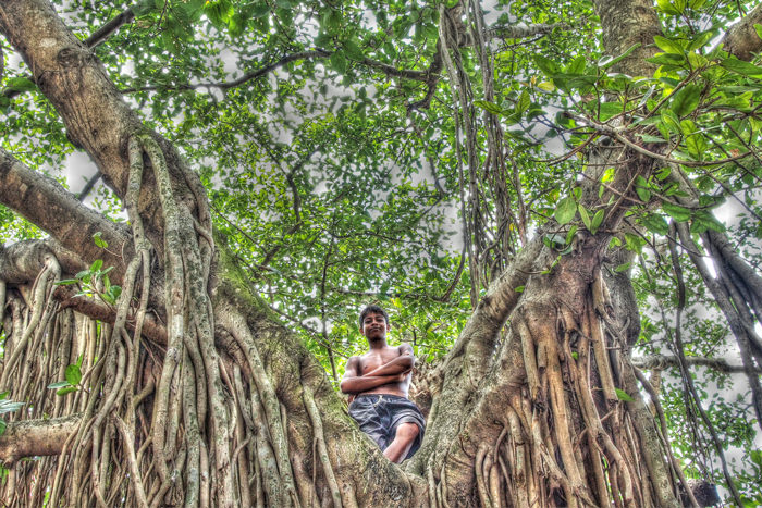 Boy standing on tree