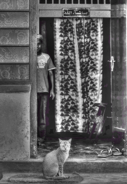Cat At The Door (Sri Lanka)