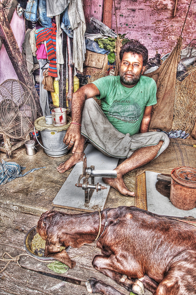 Man And Goat (India)