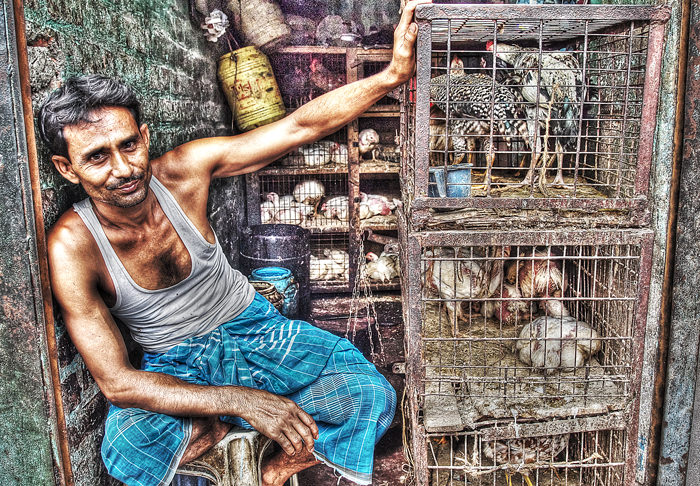 Man selling chickens