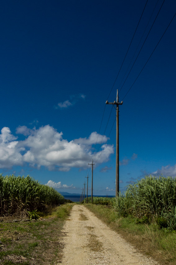 沖縄 さとうきび畑の中の道 旅と写真とエッセイ By オザワテツ