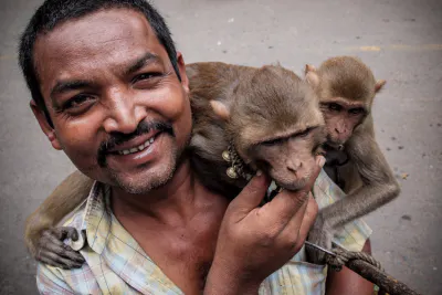 Man walking with monkeys