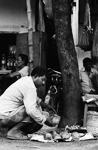 Man Was Putting Mangoes (India)