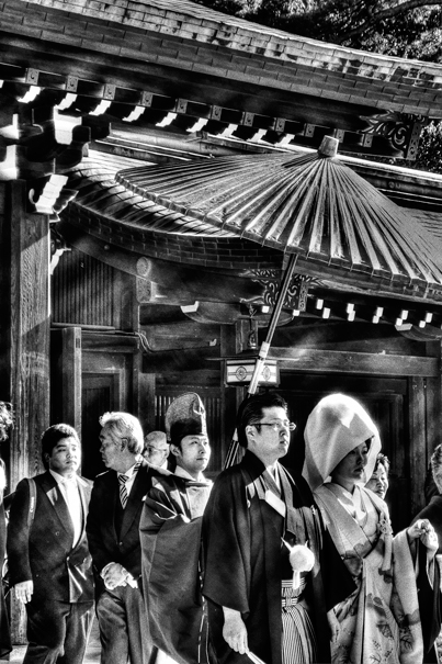 Bridal Couple In Meiji Jingu (Tokyo)