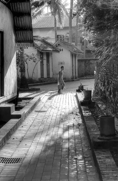 Young Monk In The Lane (Laos)