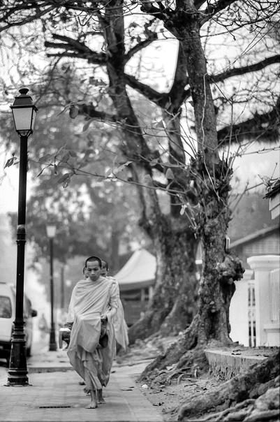 Monks Were Walking Barefoot (Laos)
