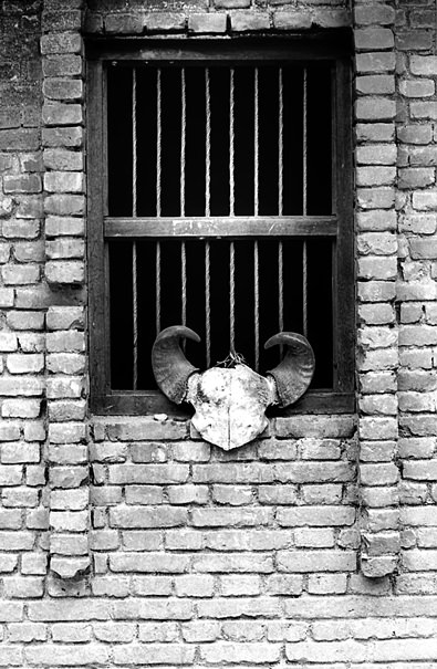 Skull Bone By The Window (Nepal)