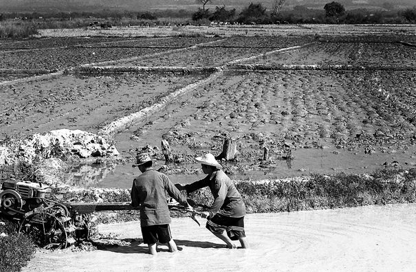 Two Men And A Cultivator (Laos)