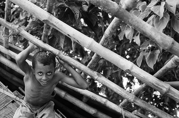 Boy And Carcass (India)