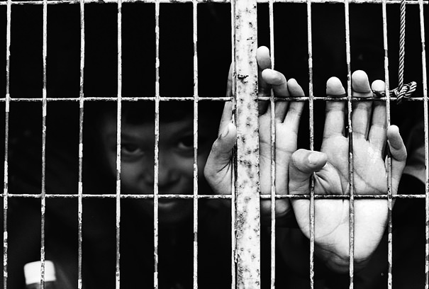 Hands At The Cage (India)