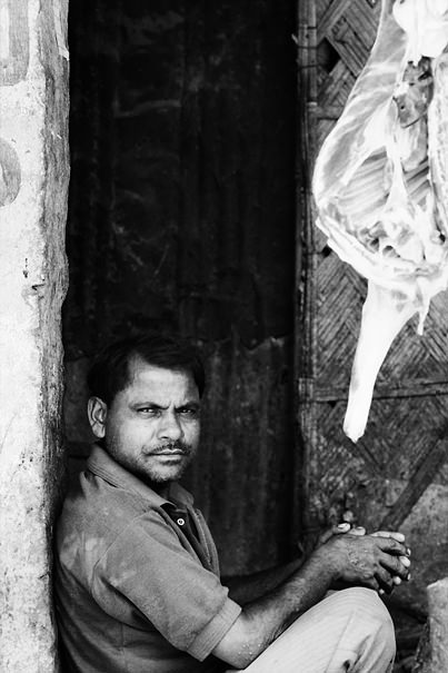 Narrow-eyed Butcher (India)