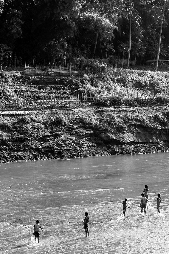 Silhouettes in shallow water
