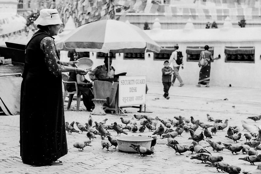 Woman feeding