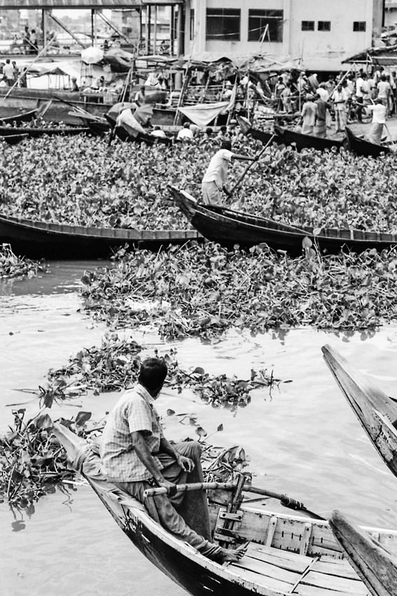 Man on wooden boat